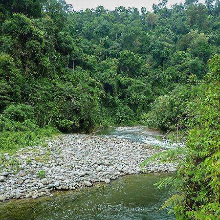 Green Travelodge Bukit Lawang Exteriér fotografie