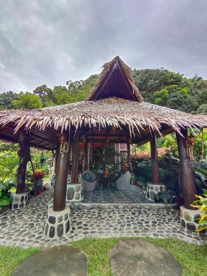 Green Travelodge Bukit Lawang Exteriér fotografie