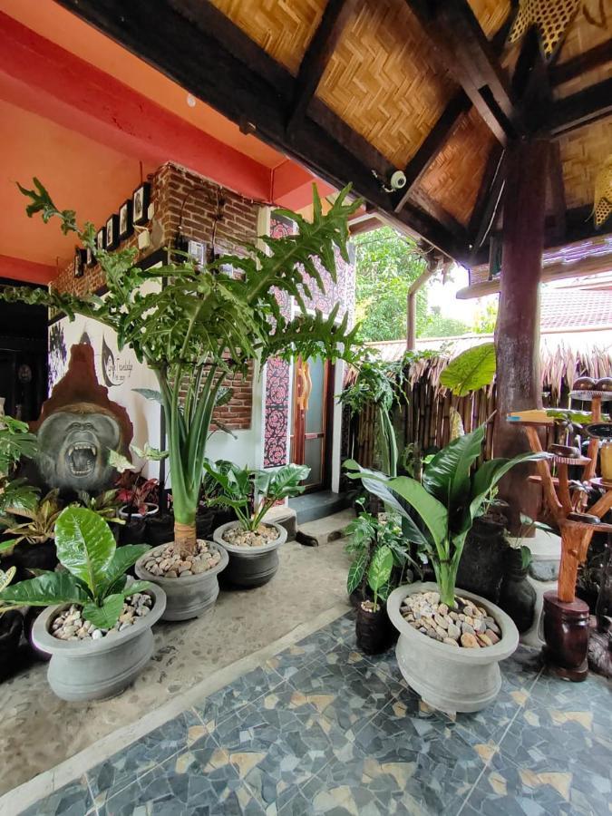 Green Travelodge Bukit Lawang Exteriér fotografie