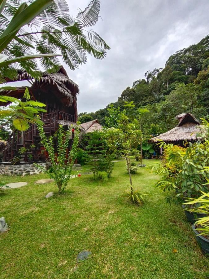 Green Travelodge Bukit Lawang Exteriér fotografie